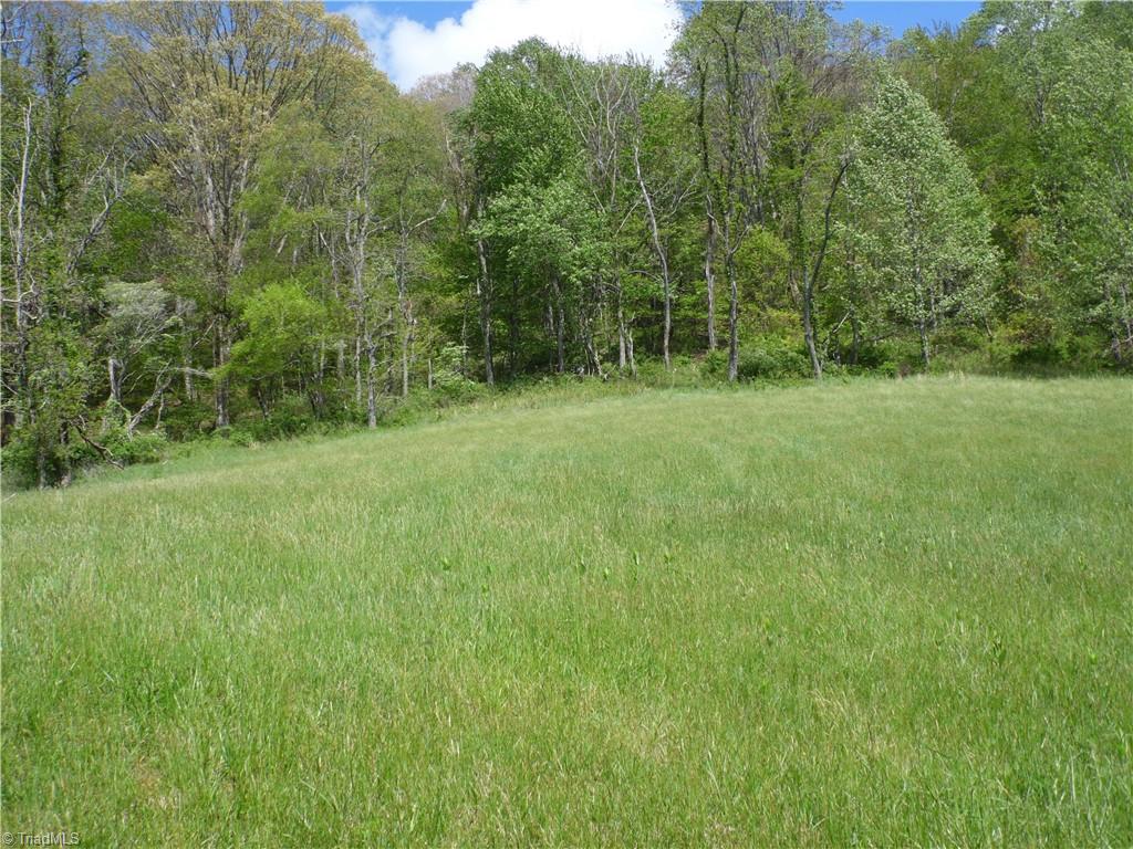 TBD Ginkgo Drive, Laurel Springs, North Carolina image 17