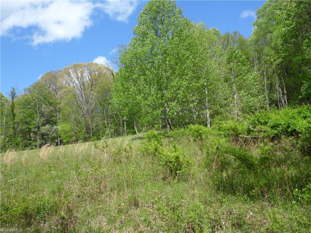 TBD Ginkgo Drive, Laurel Springs, North Carolina image 9