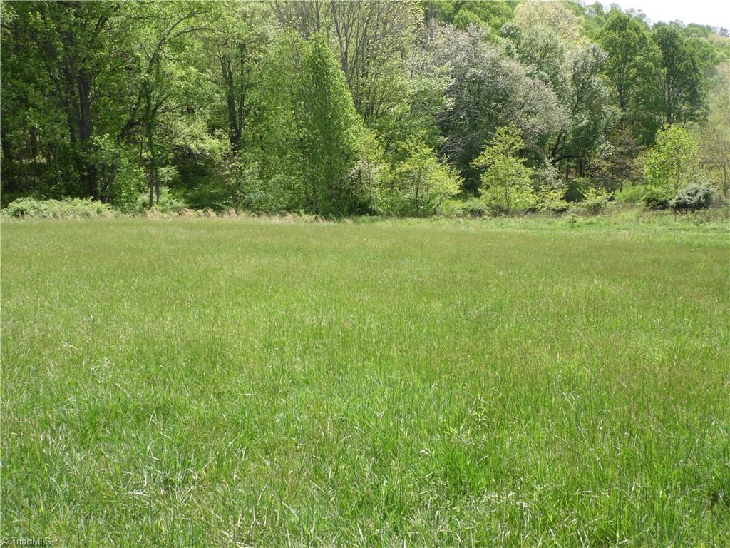 TBD Ginkgo Drive, Laurel Springs, North Carolina image 3