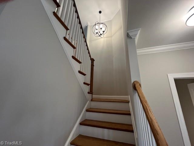 842 Montrachet Court, Lewisville, North Carolina image 33