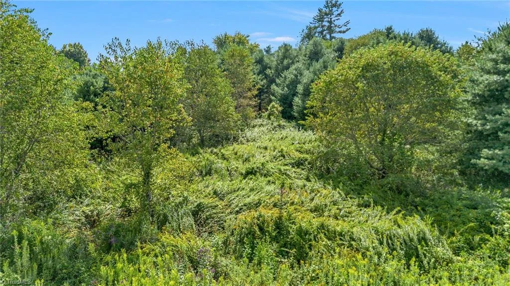 Lot  69 Green Meadows Drive, Todd, NC, 28684