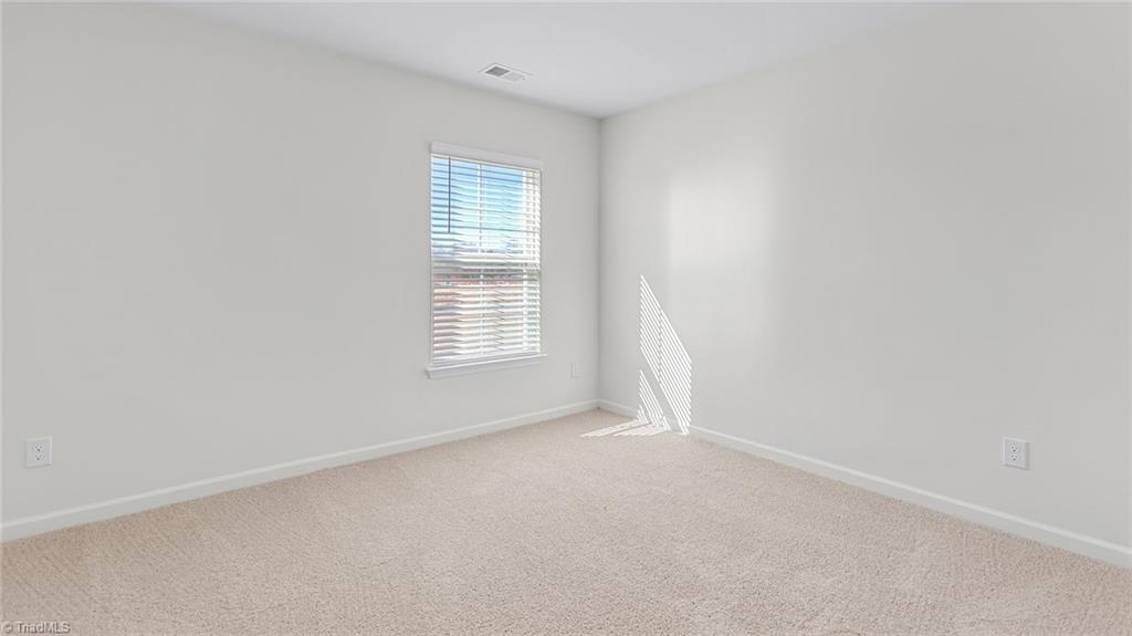 234 Indigo Bunting Court, Lexington, North Carolina image 14