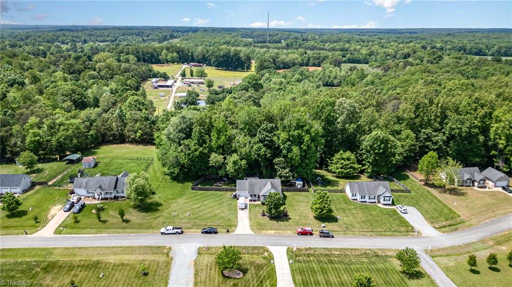 5815 Huffine Ridge Drive, Gibsonville, North Carolina image 22