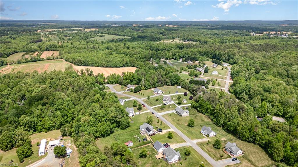 5815 Huffine Ridge Drive, Gibsonville, North Carolina image 24