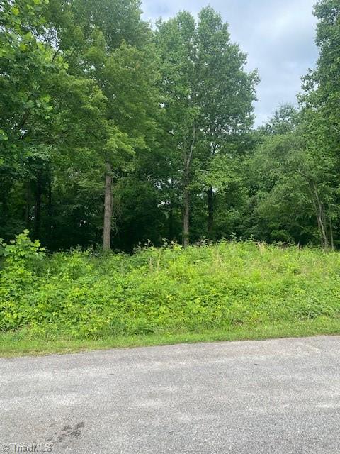 0000 Ward Street, Roaring River, North Carolina image 1