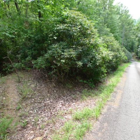 Lot 18 Mountain View Drive, Lowgap, North Carolina image 1