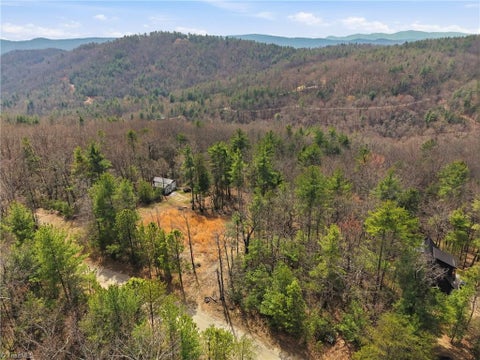 Vacant Land For Sale - LOT 109 & 110 Pepper Bush Road<br/> Purlear, NC 28665