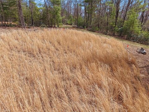 Vacant Land For Sale - LOT 109 & 110 Pepper Bush Road<br/> Purlear, NC 28665