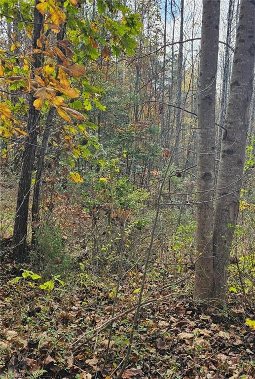 Off Germantown Road, Moravian Falls, North Carolina image 14