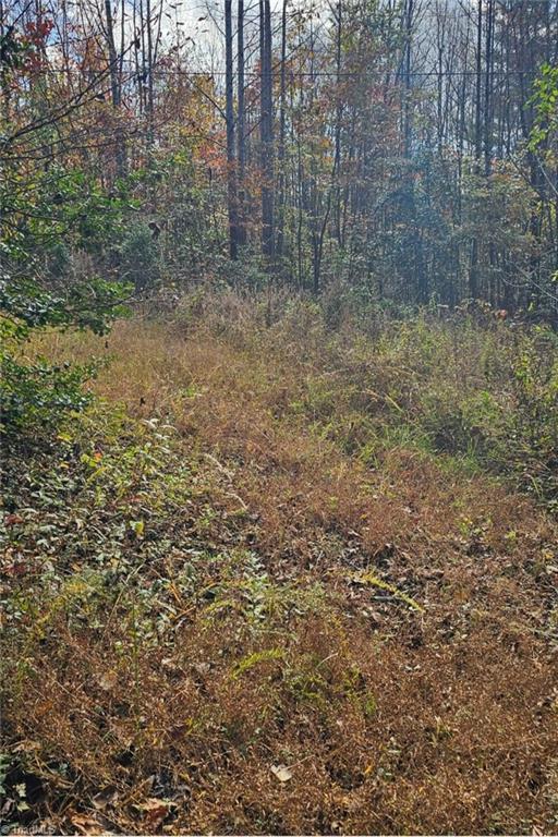 Off Germantown Road, Moravian Falls, North Carolina image 3