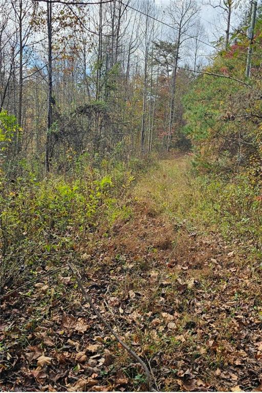 Off Germantown Road, Moravian Falls, North Carolina image 7