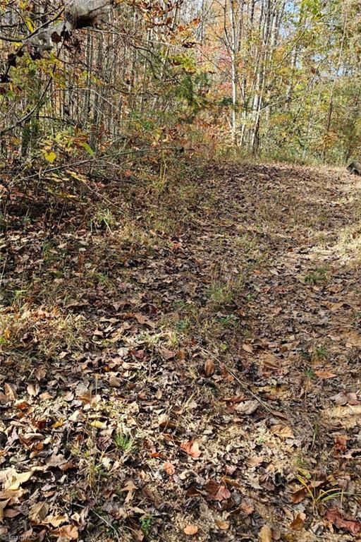 Off Germantown Road, Moravian Falls, North Carolina image 4