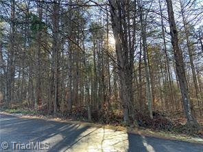 2030 Chris Drive, Walkertown, North Carolina image 1