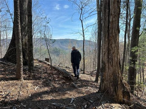 Vacant Land For Sale - 6475 & 6485 Buffalo Cove Road<br/> Caldwell County, Lenoir, NC 28645