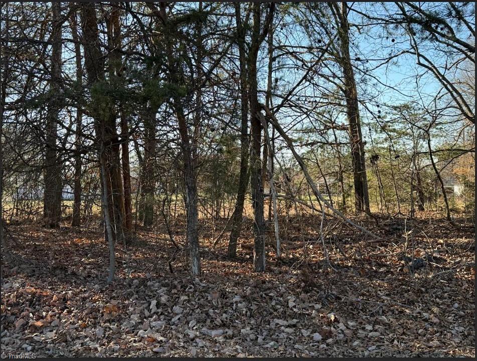 Lot 9 Renegar Road, Yadkinville, North Carolina image 6