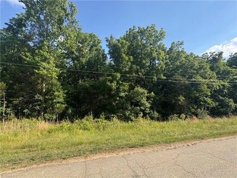 Vacant Land For Sale - Pearl Avenue<br/> Sophia, NC 27350