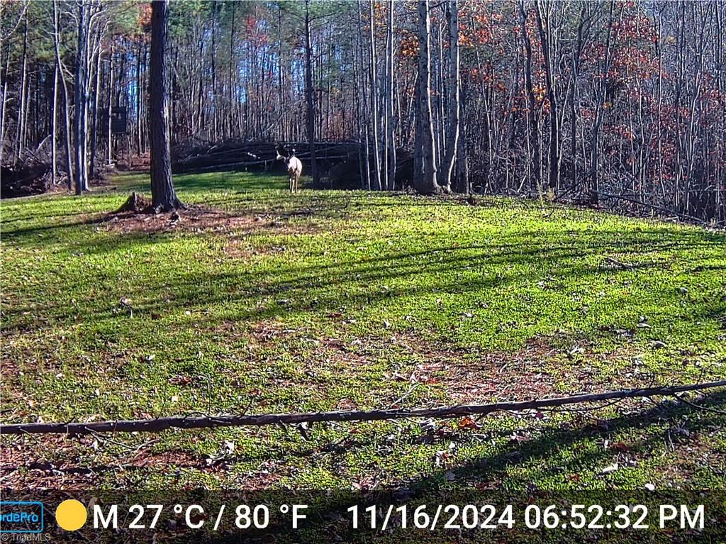 427 Trott Circle, Martinsville, Virginia image 17