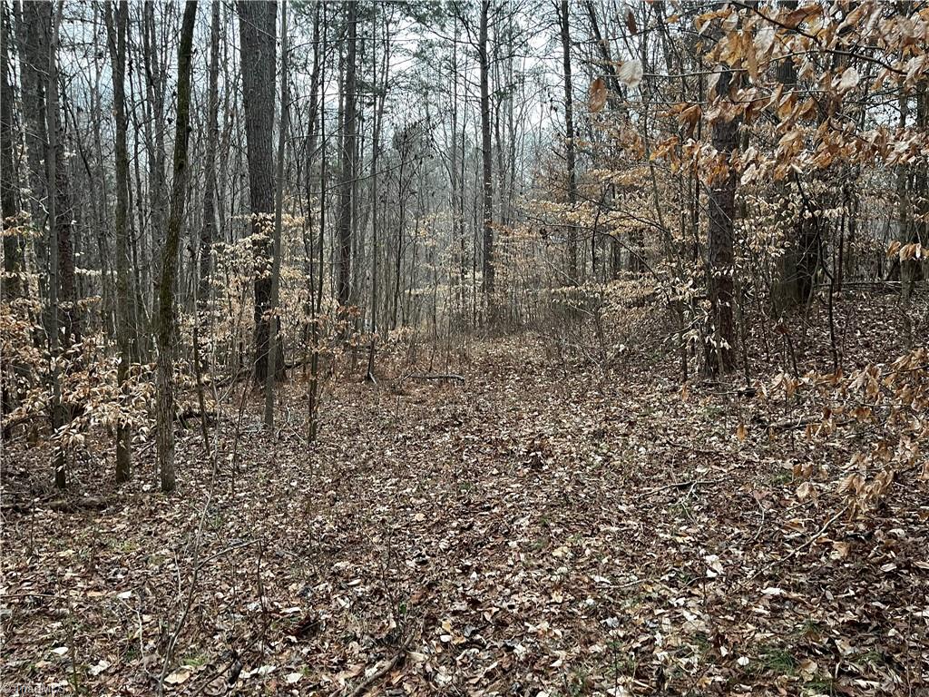 00 Motsinger Road, Thomasville, North Carolina image 11