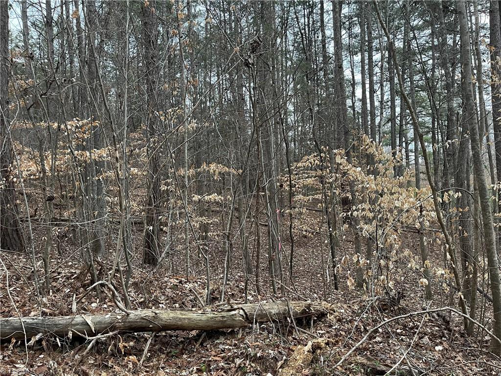00 Motsinger Road, Thomasville, North Carolina image 12