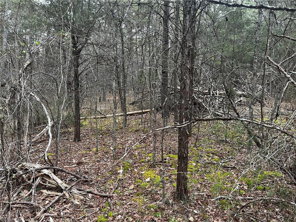 00 Motsinger Road, Thomasville, North Carolina image 7