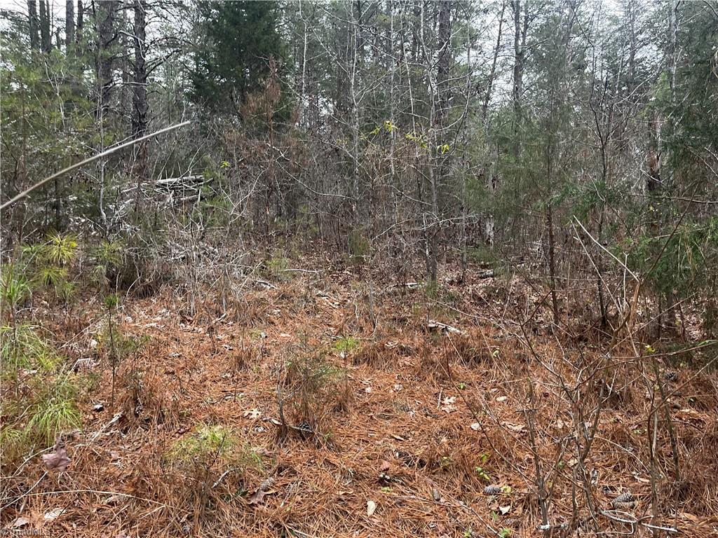 00 Motsinger Road, Thomasville, North Carolina image 5