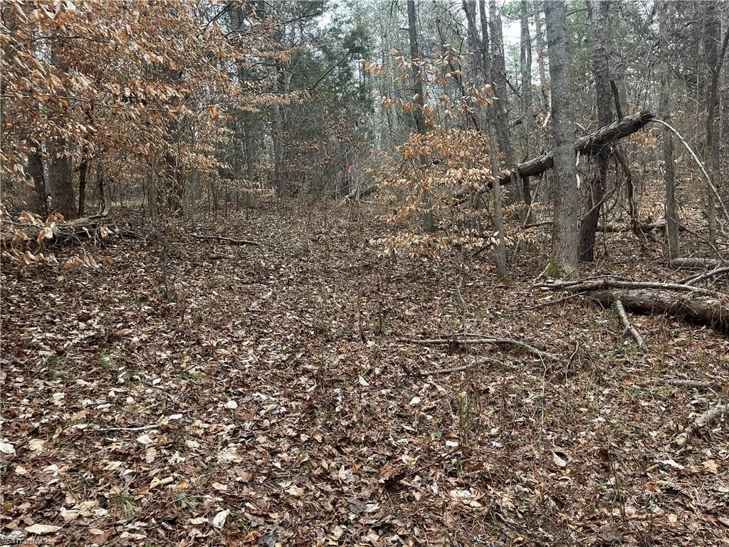 00 Motsinger Road, Thomasville, North Carolina image 4