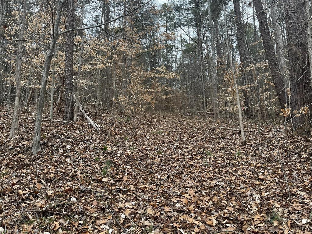 00 Motsinger Road, Thomasville, North Carolina image 3