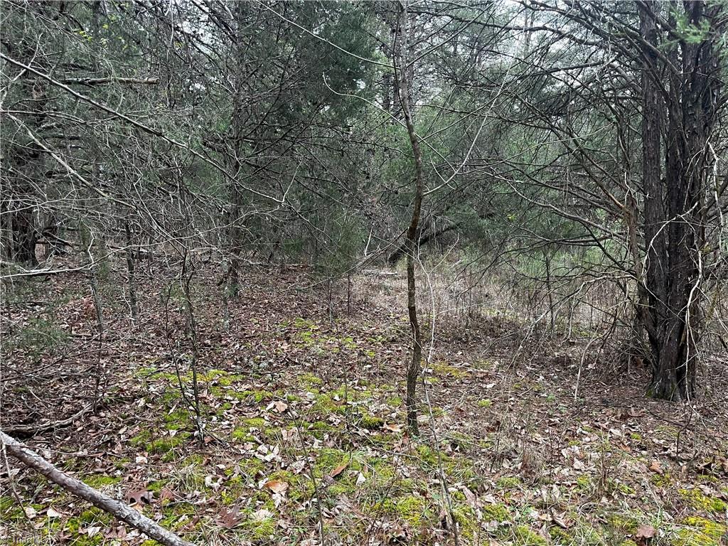 00 Motsinger Road, Thomasville, North Carolina image 6