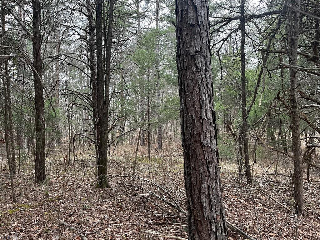 00 Motsinger Road, Thomasville, North Carolina image 1