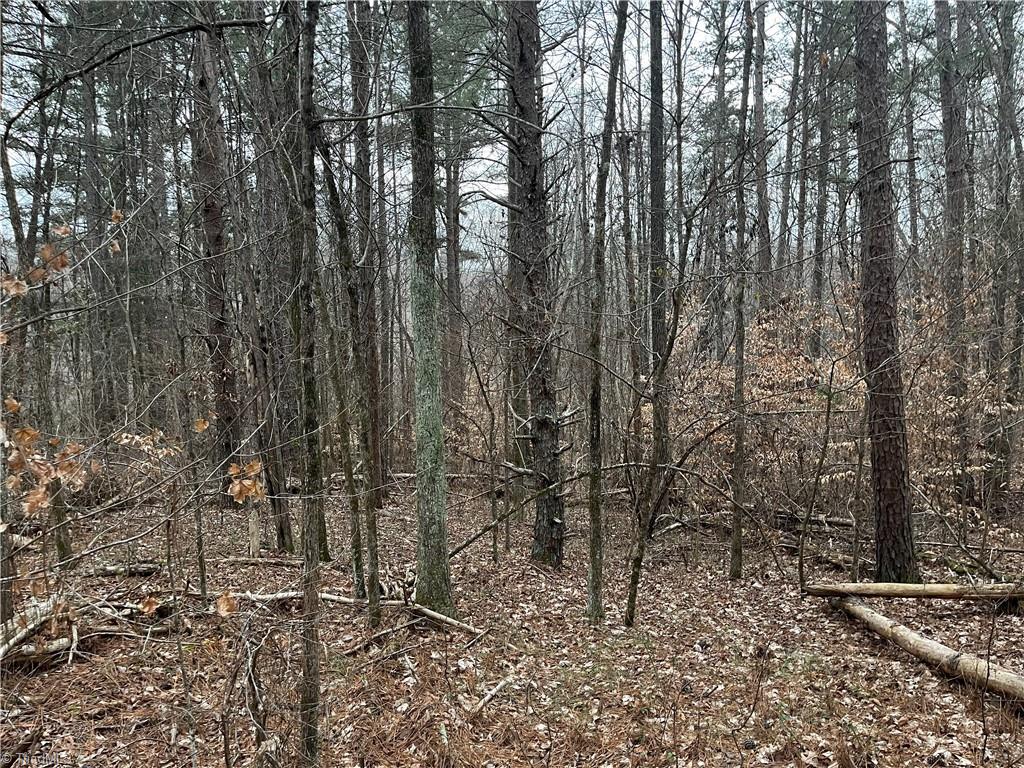 00 Motsinger Road, Thomasville, North Carolina image 10