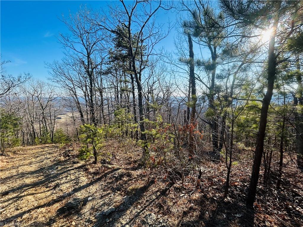 TBD Reflection Point Trail, Fancy Gap, Virginia image 26