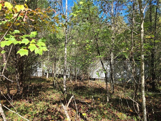 1021 SWEETBRIAR LN, HAMPTONVILLE, NC 27020 - Image 24eb21faef8b69c3dda499172bfb8030/3139923875