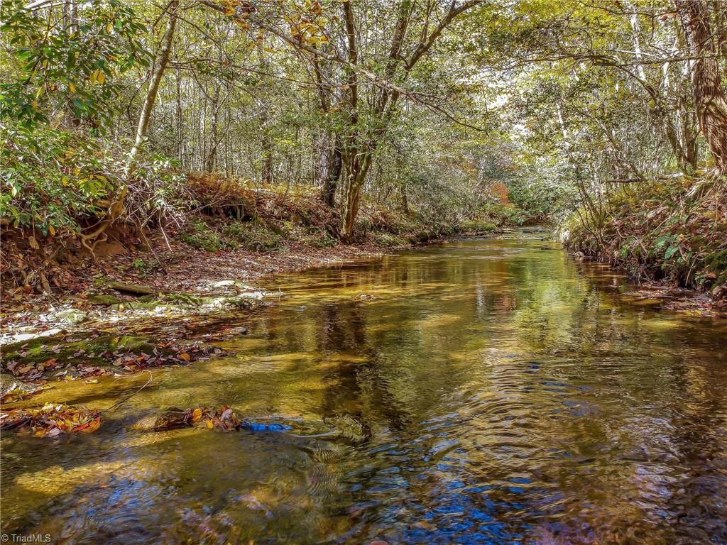 TBD Friendly Grove Church Road, Millers Creek, North Carolina image 16