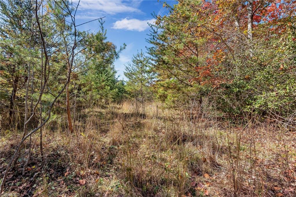 TBD Friendly Grove Church Road, Millers Creek, North Carolina image 9