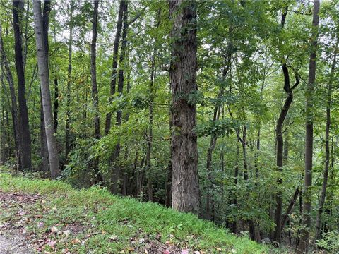 Vacant Land For Sale - 000 Ridge Run Road #LOT 84<br/> Boomer, NC 28606