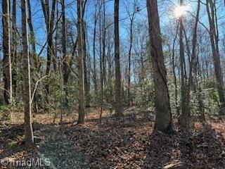 Lot 21 Stevens Drive, Jonesville, North Carolina image 5