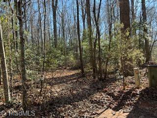 Lot 21 Stevens Drive, Jonesville, North Carolina image 6