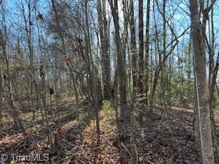 Lot 21 Stevens Drive, Jonesville, North Carolina image 4