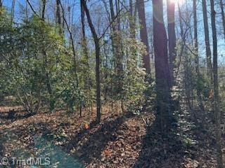 Lot 21 Stevens Drive, Jonesville, North Carolina image 3