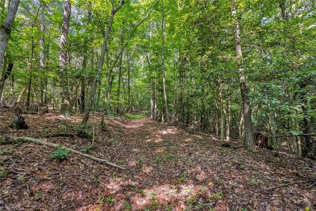 0 Hazard Trail