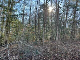 Lot 18 Stevens Drive, Jonesville, North Carolina image 3