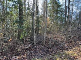 Lot 18 Stevens Drive, Jonesville, North Carolina image 2