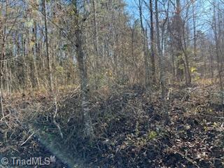 Lot 18 Stevens Drive, Jonesville, North Carolina image 4