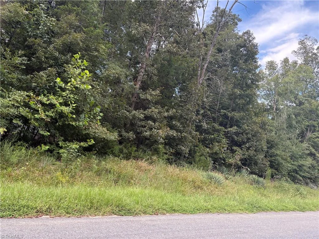 7149 Nature Road, Liberty, NC, 27298