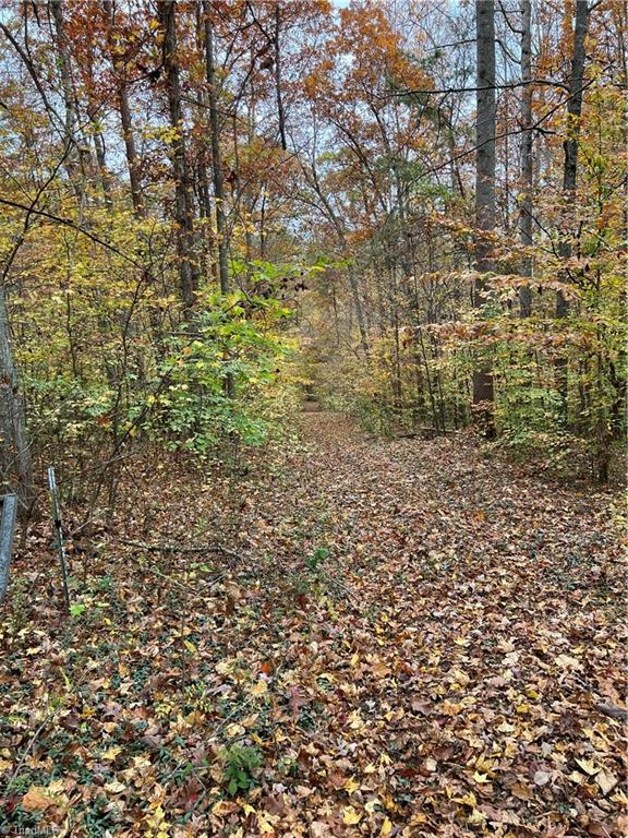 9.5 Aladdin Road, Pfafftown, North Carolina image 11