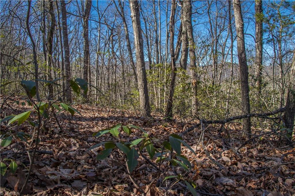 LOT 60 TBD Jonathan Drive, Lowgap, North Carolina image 9