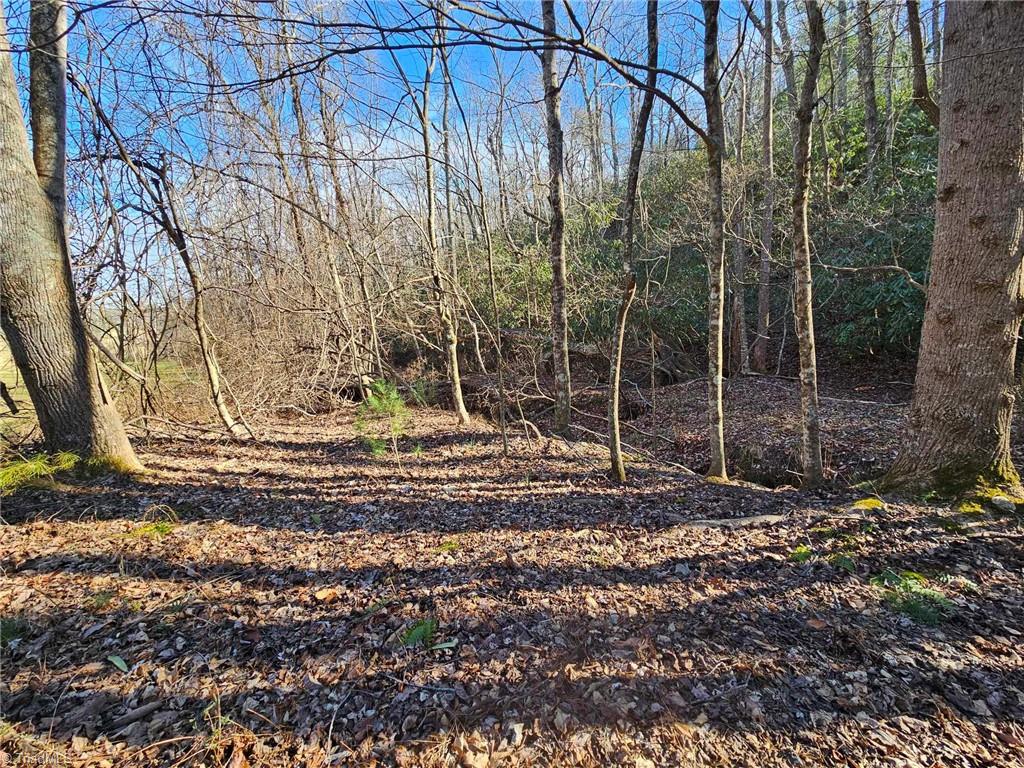 LOT 60 TBD Jonathan Drive, Lowgap, North Carolina image 2