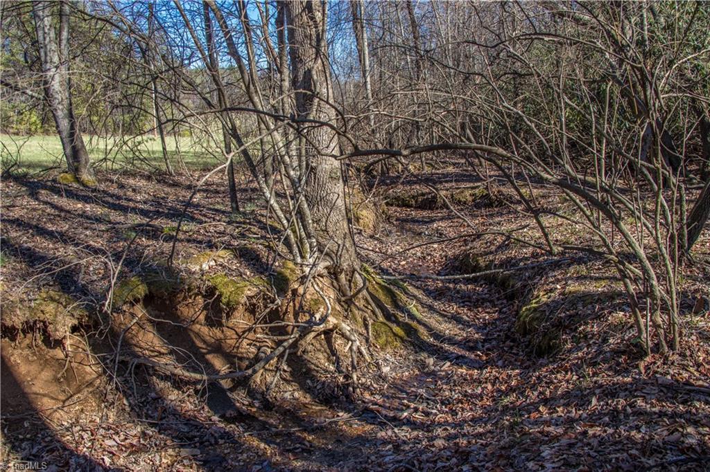 LOT 60 TBD Jonathan Drive, Lowgap, North Carolina image 8