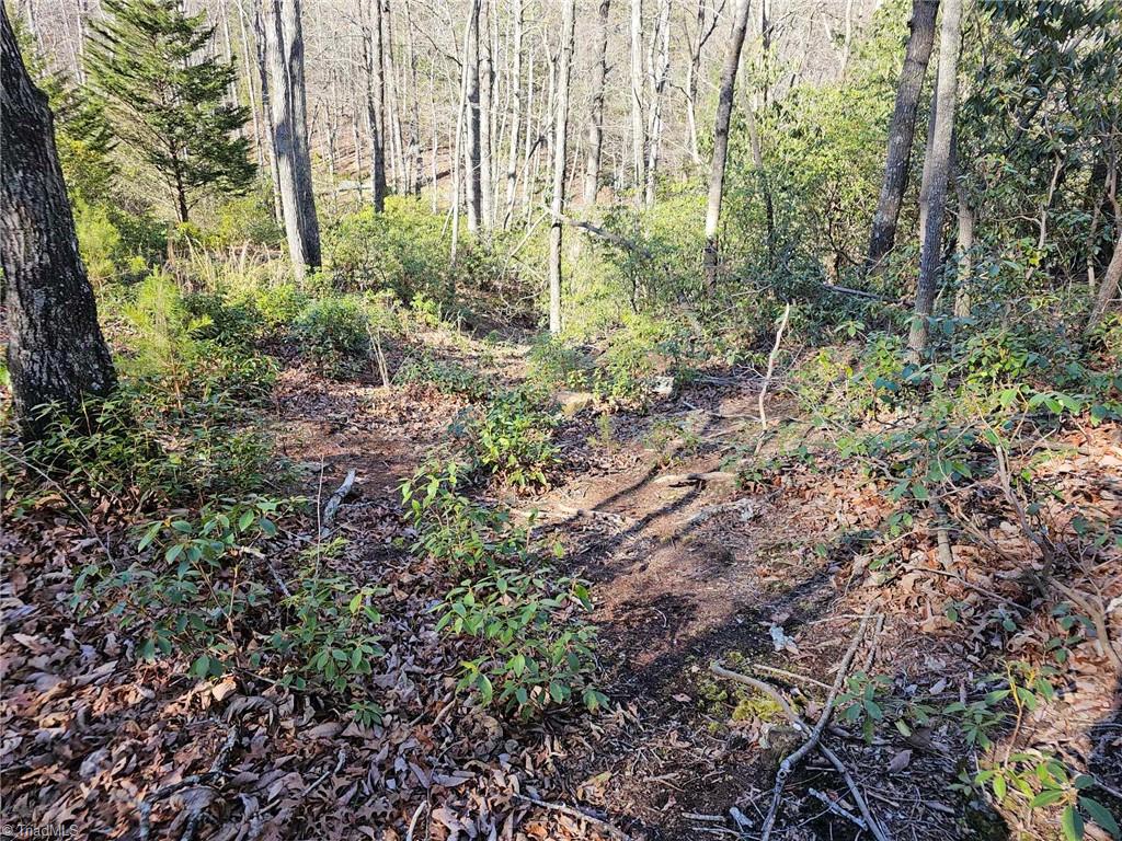 LOT 60 TBD Jonathan Drive, Lowgap, North Carolina image 7