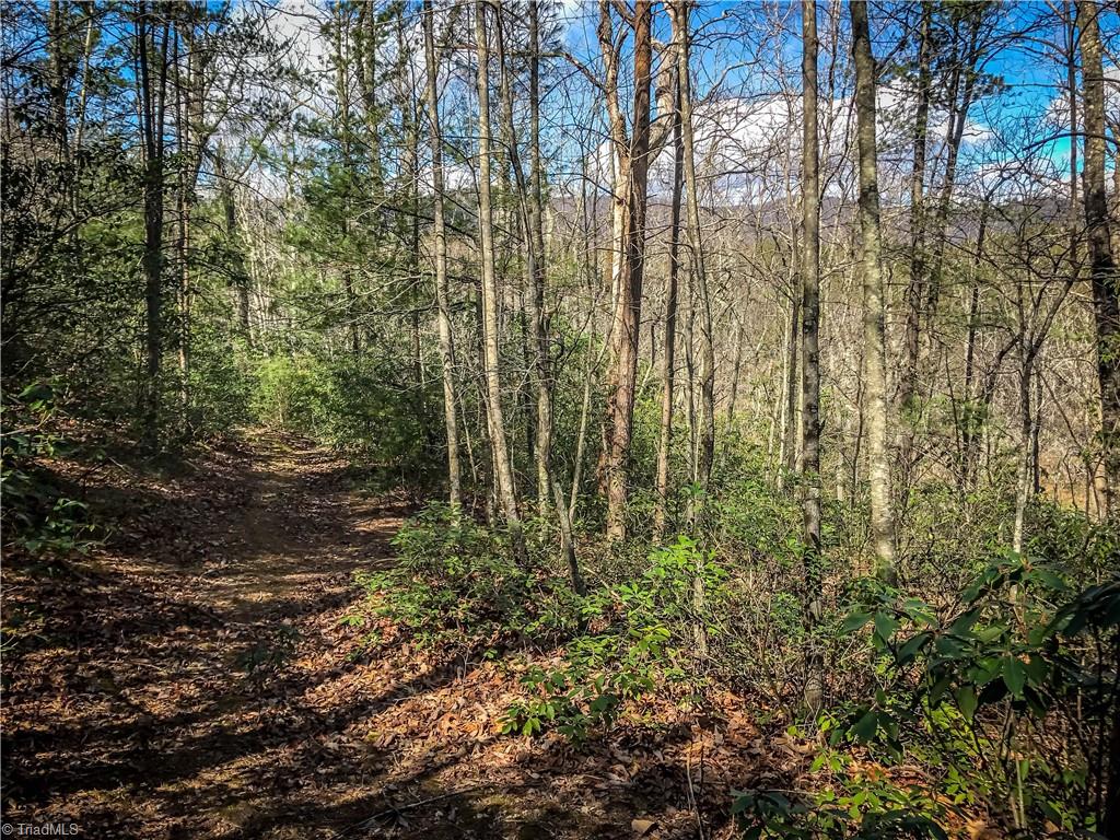 LOT 60 TBD Jonathan Drive, Lowgap, North Carolina image 6